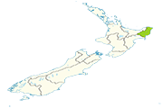 Drapeau Gisborne
