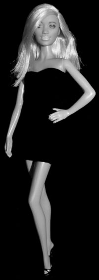 Barbie Fashionistas N°111