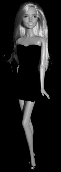 Barbie Fashionistas N°126