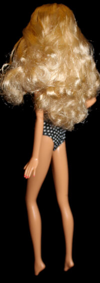 Barbie Signature Celebration
