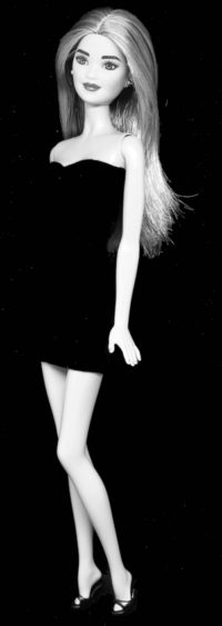 Barbie Fashionistas N°81