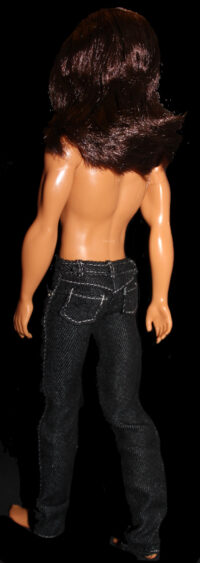 Ken - Jude Deveraux The Raider