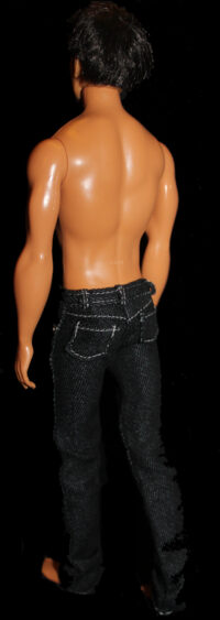 Ken The Twilight Saga New Moon Jacob