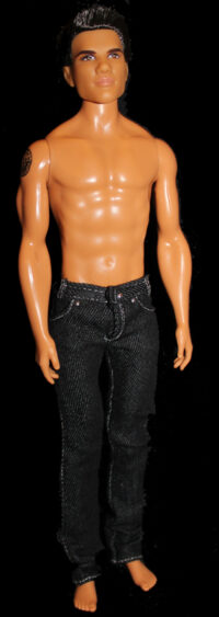 Ken The Twilight Saga New Moon Jacob