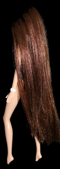 Barbie - You can be anything - Political Candidate