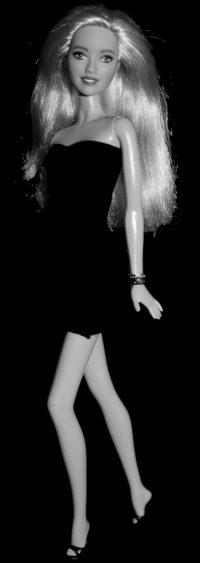Barbie Fashionistas N°113