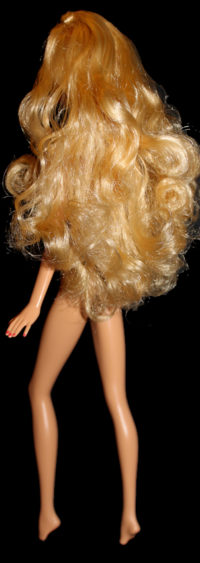 Barbie Birthday Wishes 2004