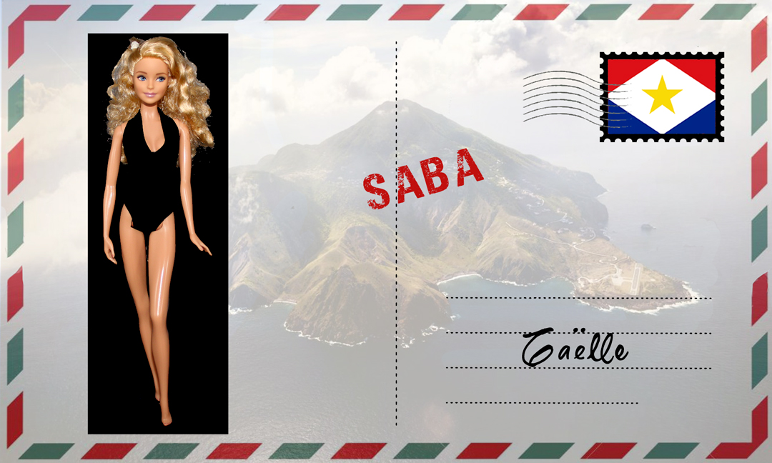 Barbie Fashionistas N°70