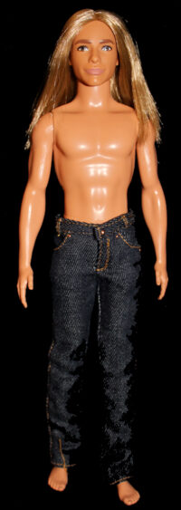 Ken Fashionistas N°138