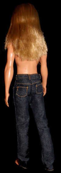 Ken Fashionistas N°138