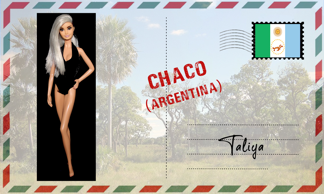 Barbie Fashionistas N°107