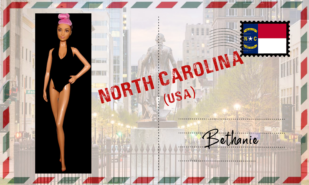 Barbie Fashionistas N°95