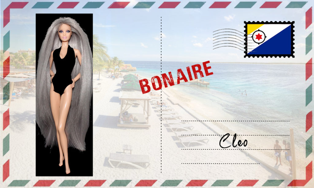 Barbie Cléo