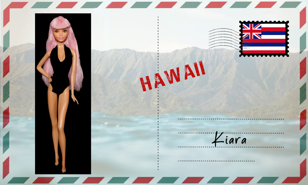 Barbie Fashionistas N°48