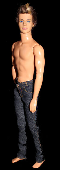 Ken Ryan Fashionista Sporty