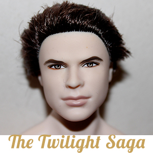 Collection The Twilight Saga