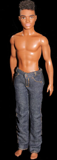Ken Fashionistas N°162