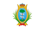 Drapeau Durango