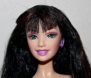 Barbie Courtney Diaries
