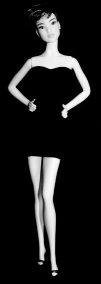 Barbie Looks - Petite Brunette