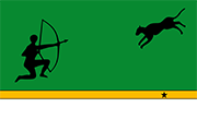 Drapeau Amazonas