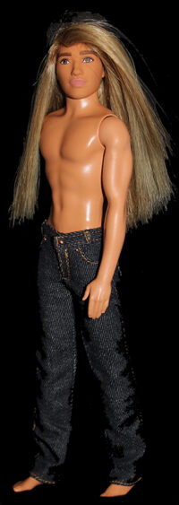 Ken Fashionistas N°165