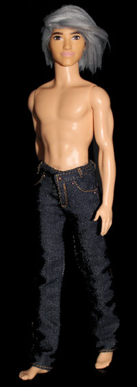 Ken Fashionistas N°175