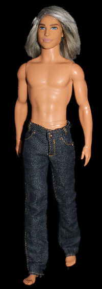 Ken Princesse Adventure