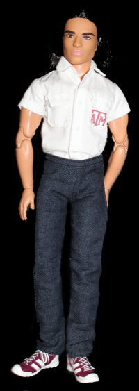 Ken Looks - Long Brunette Hair