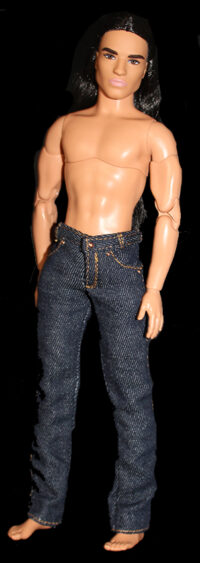Ken Looks - Long Brunette Hair