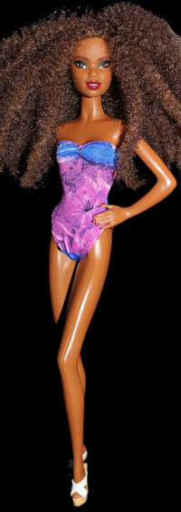 Barbie Holiday 2018 - Asha