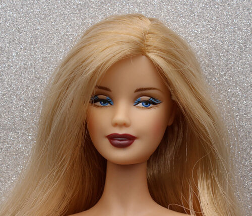 Barbie Jude Deveraux The Raider and Ken Giftset