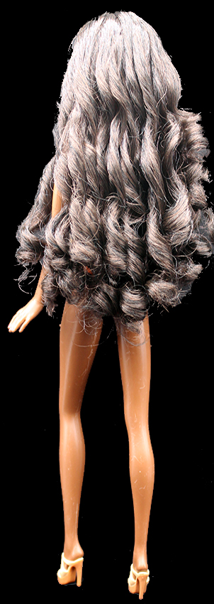 Barbie Holiday 2020 - Asha