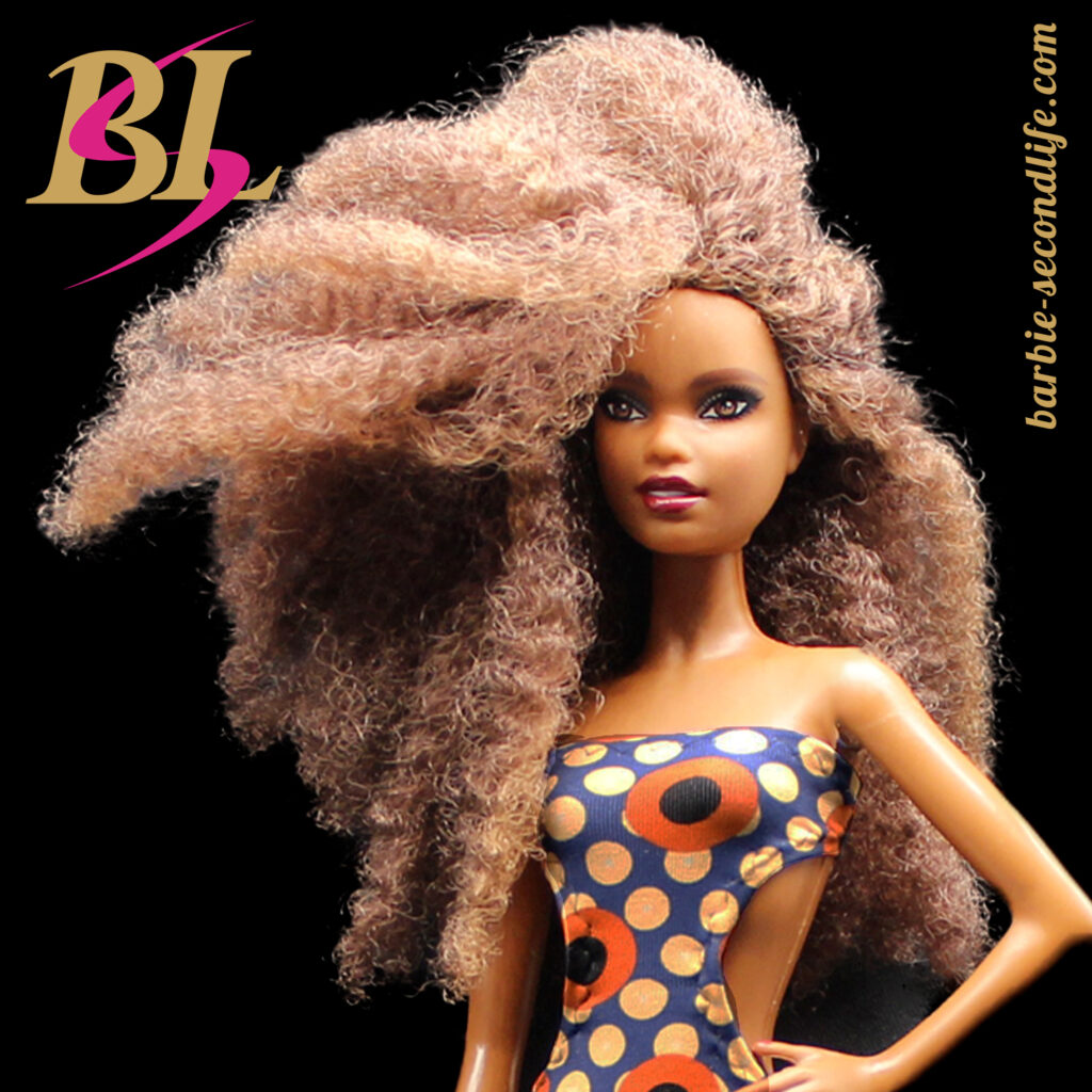 Barbie Holiday 2018 – Asha – Rerooted
