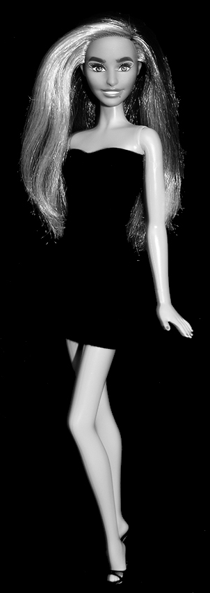 Barbie Fashionistas N°207