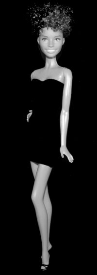 Barbie Fashionistas N°128