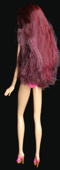 Barbie Rebelde - Roberta Pardo