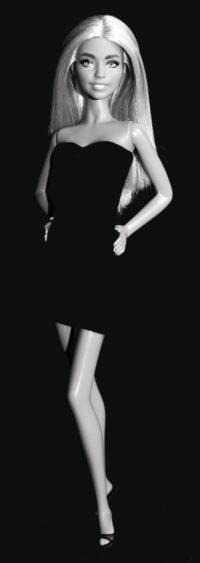 Barbie Fashionistas N°218