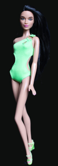 Barbie Fashionistas N°215