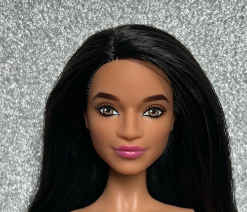 Barbie Fashionistas N°215