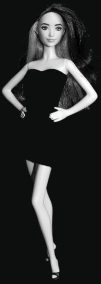 Barbie Fashionistas N°214