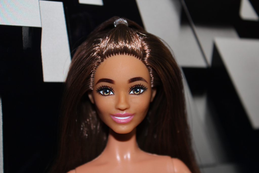 Barbie Fashionistas N°217
