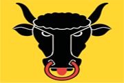 Drapeau Uri
