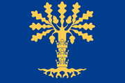 Drapeau Blekinge