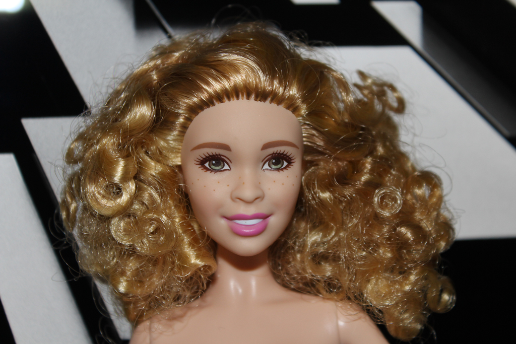 Barbie Fashionistas