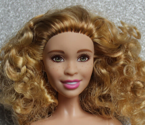 Barbie Fashionistas