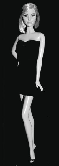 Barbie Fashionistas N°18