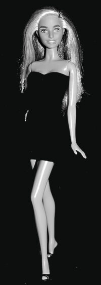 Barbie Fashionistas N°207