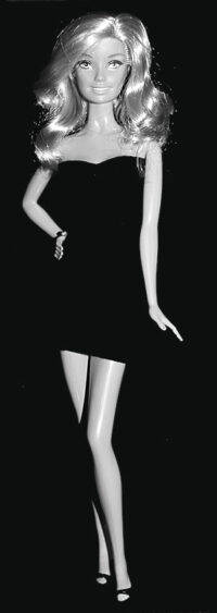 Barbie Fashionistas Swappin' Styles Sweetie