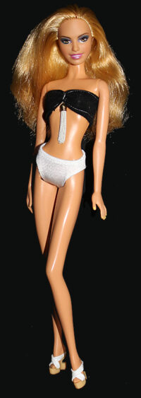 Barbie Fashionistas Summer